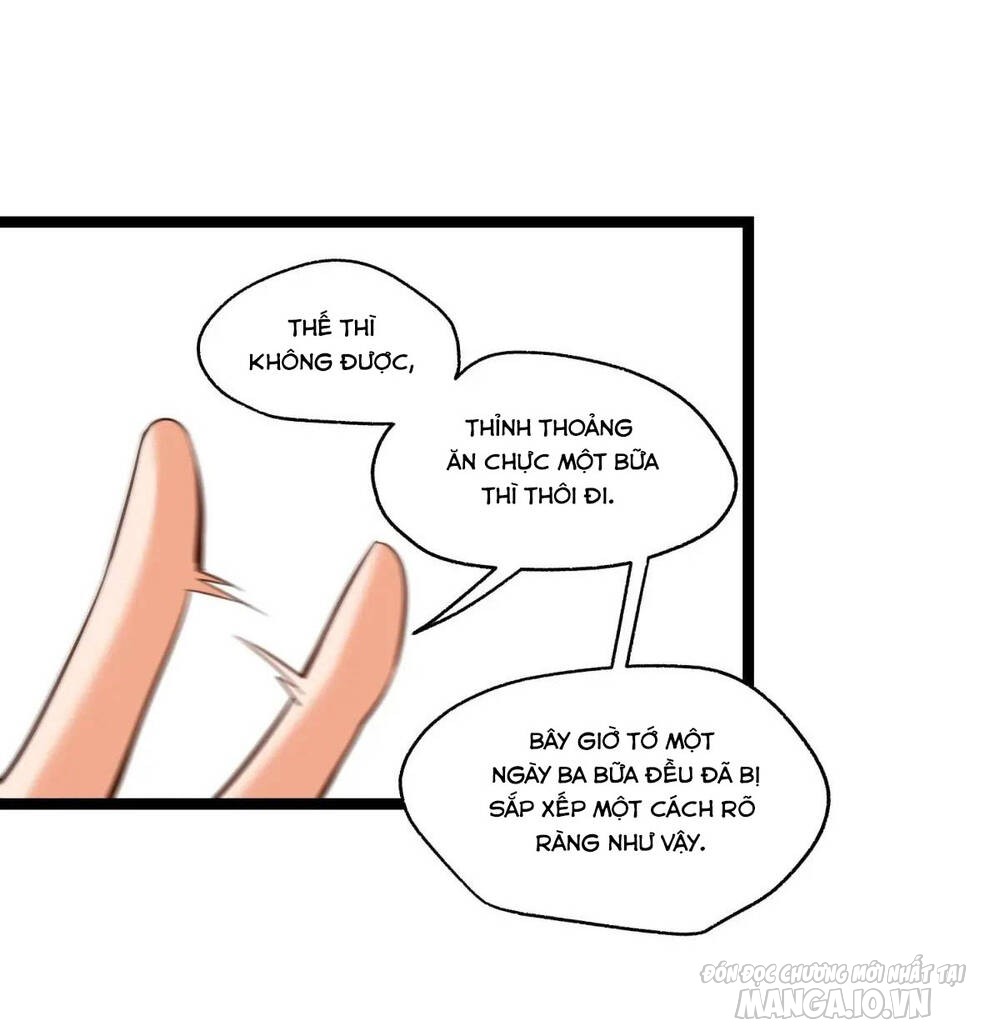 Trùng Sinh Không Làm Chạn Vương – Ta Một Mình Thăng Cấp Khắc Kim Chapter 39 - Trang 2