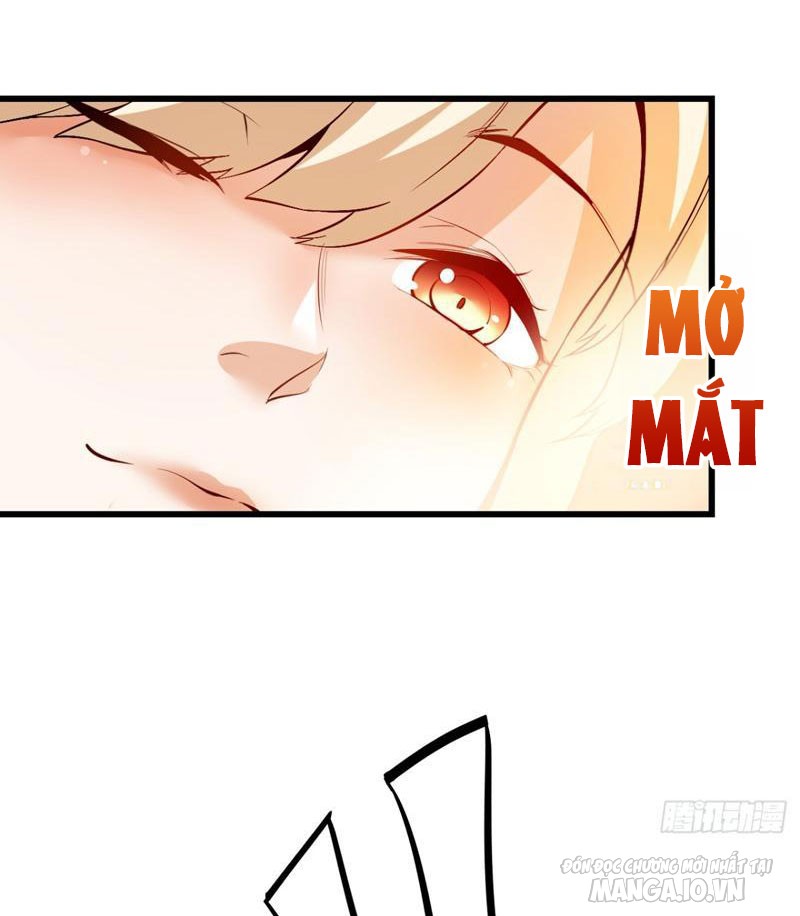 Trùng Sinh Không Làm Chạn Vương – Ta Một Mình Thăng Cấp Khắc Kim Chapter 5 - Trang 2