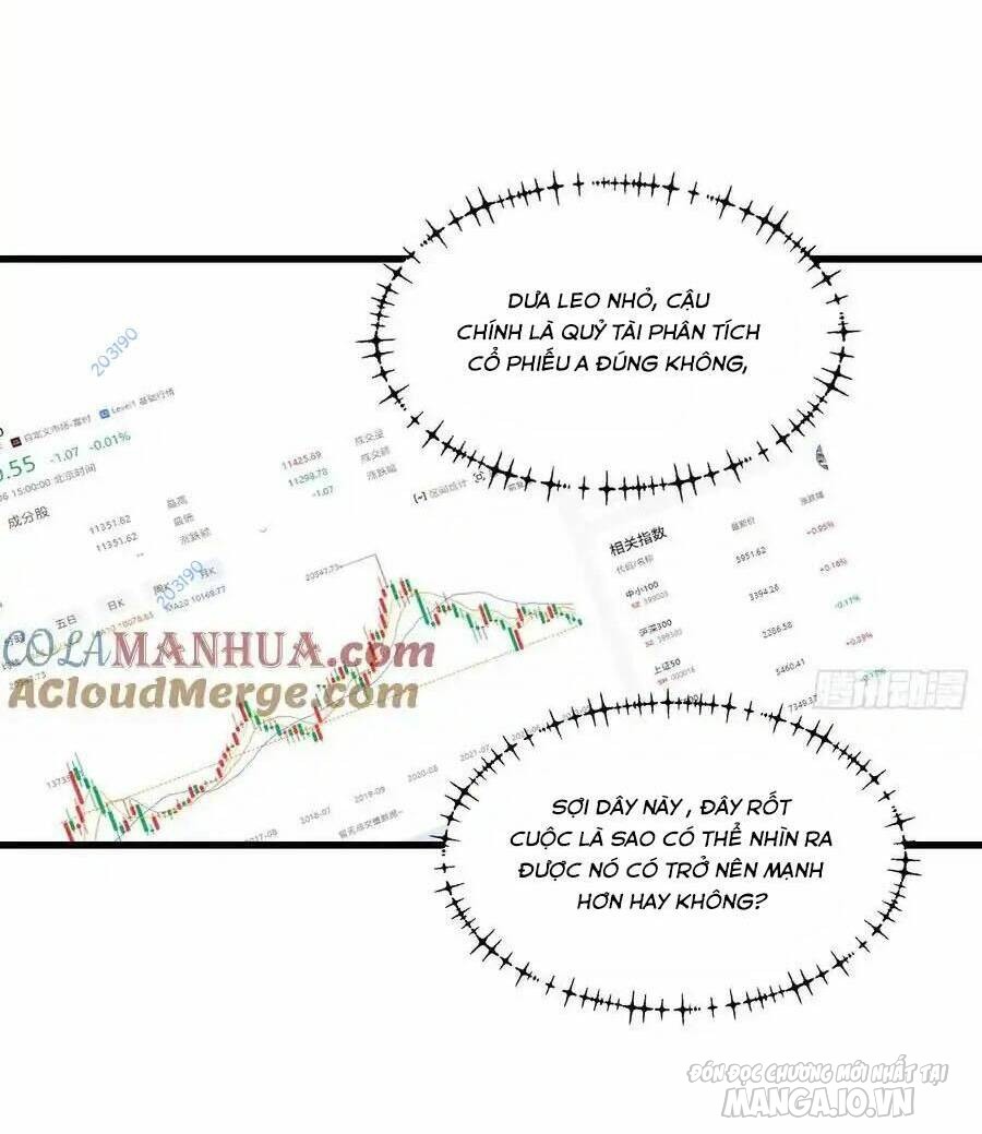 Trùng Sinh Không Làm Chạn Vương – Ta Một Mình Thăng Cấp Khắc Kim Chapter 56 - Trang 2