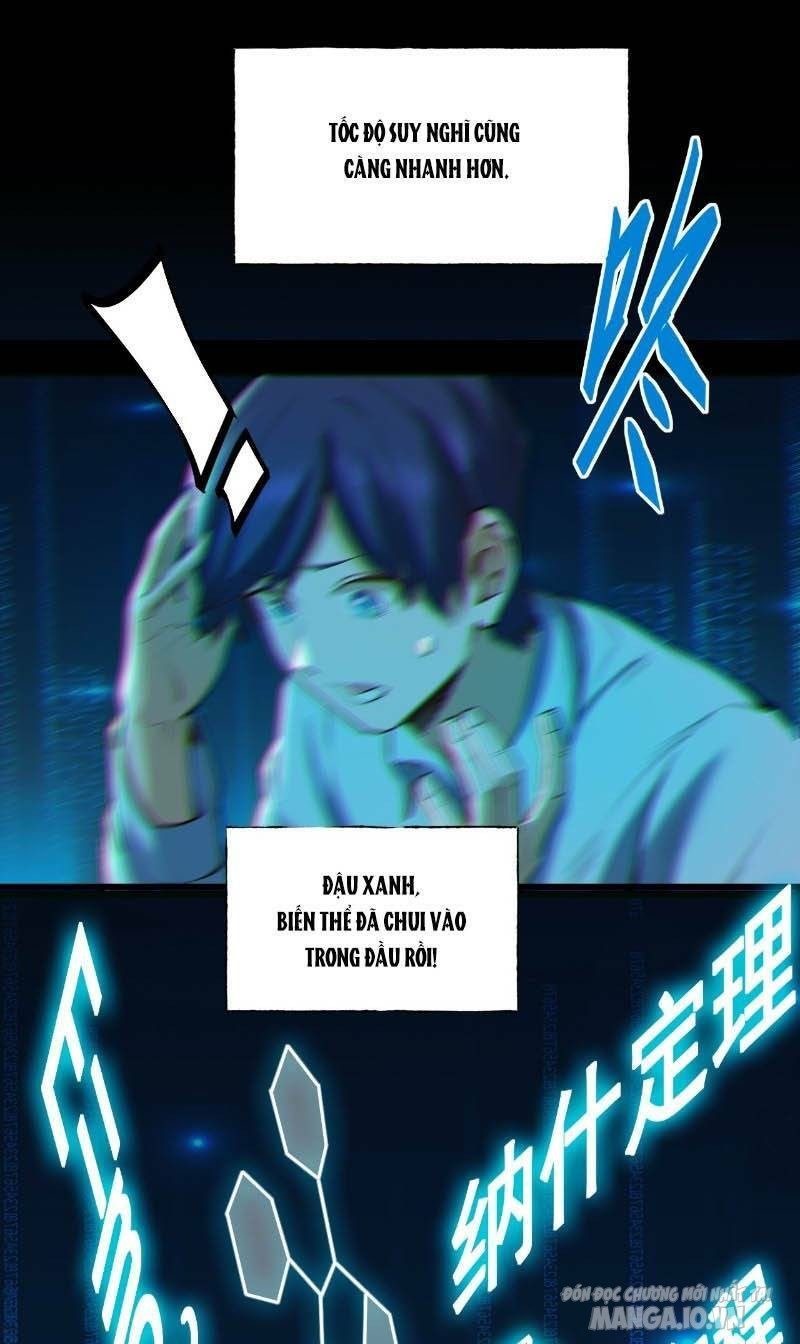 Trùng Sinh Không Làm Chạn Vương – Ta Một Mình Thăng Cấp Khắc Kim Chapter 6 - Trang 2