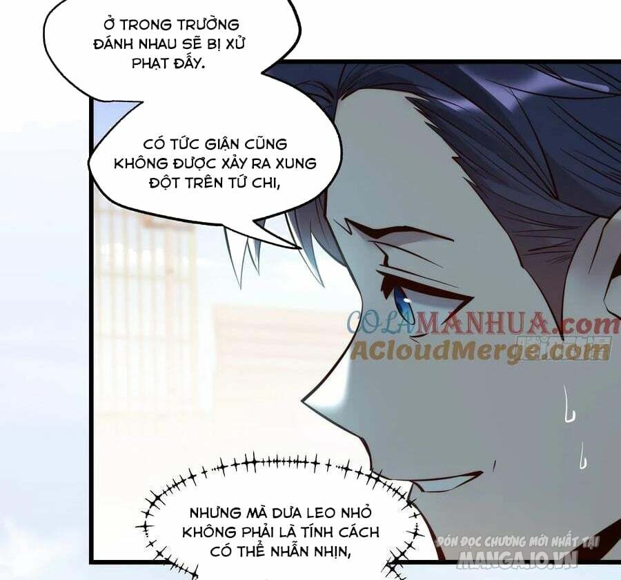 Trùng Sinh Không Làm Chạn Vương – Ta Một Mình Thăng Cấp Khắc Kim Chapter 61 - Trang 2