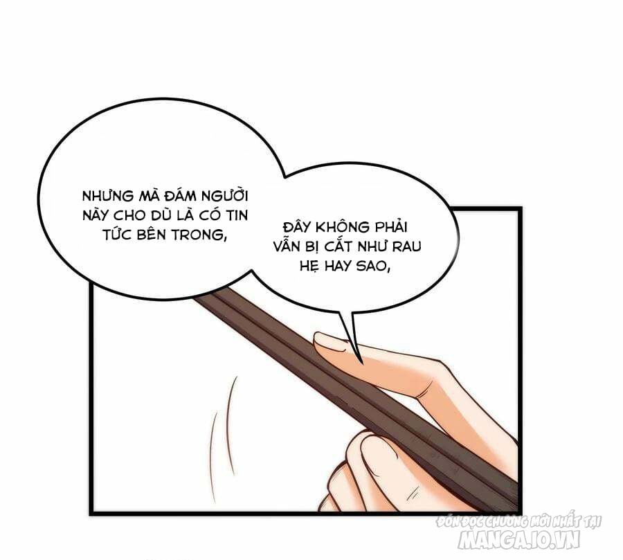 Trùng Sinh Không Làm Chạn Vương – Ta Một Mình Thăng Cấp Khắc Kim Chapter 61 - Trang 2