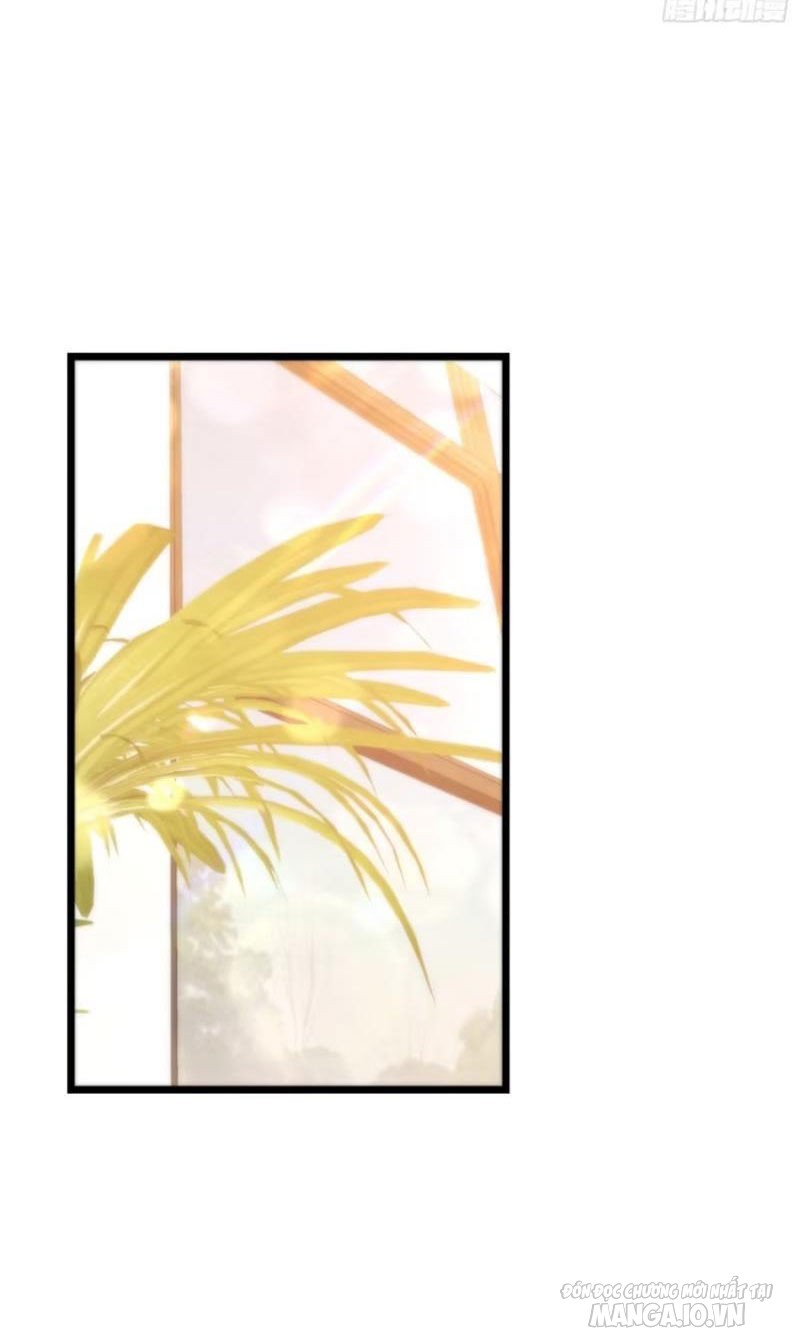 Trùng Sinh Không Làm Chạn Vương – Ta Một Mình Thăng Cấp Khắc Kim Chapter 71 - Trang 2