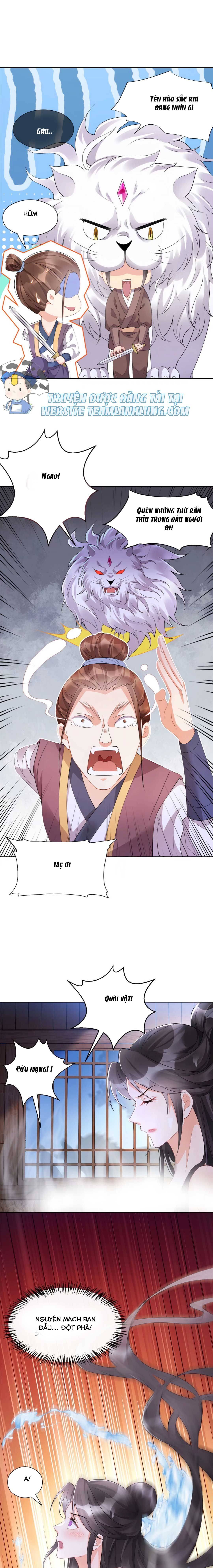 Trùng Sinh Sống Lại ! Các Hoàng Tử Ai Cũng Muốn Cưới Ta ! Chapter 10 - Trang 2