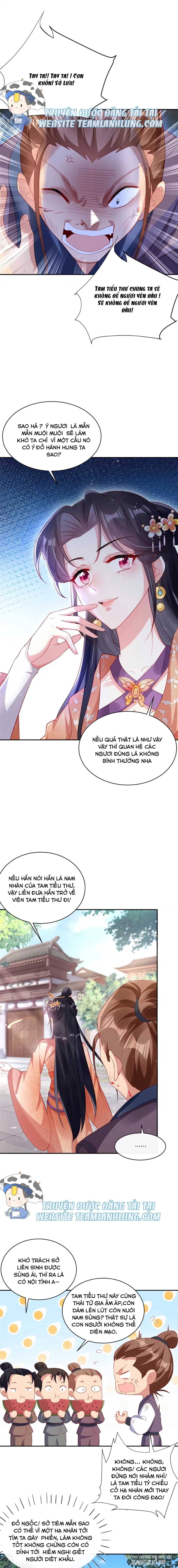 Trùng Sinh Sống Lại ! Các Hoàng Tử Ai Cũng Muốn Cưới Ta ! Chapter 11 - Trang 2