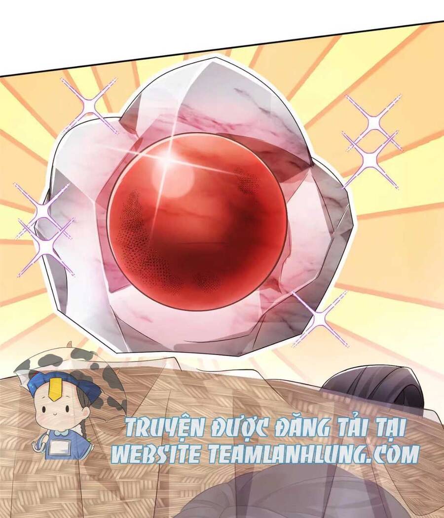 Trùng Sinh Sống Lại ! Các Hoàng Tử Ai Cũng Muốn Cưới Ta ! Chapter 12 - Trang 2