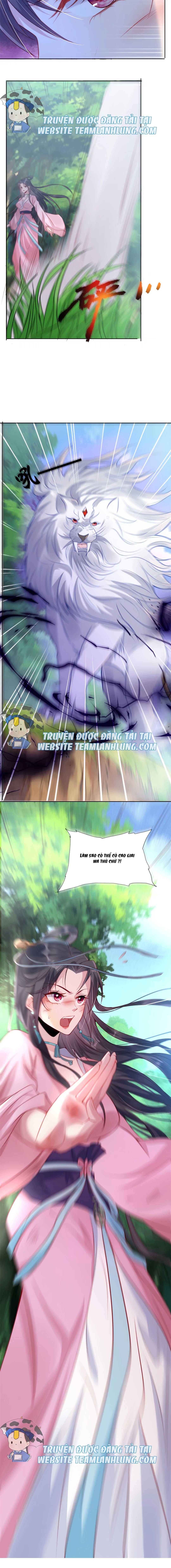 Trùng Sinh Sống Lại ! Các Hoàng Tử Ai Cũng Muốn Cưới Ta ! Chapter 2 - Trang 2