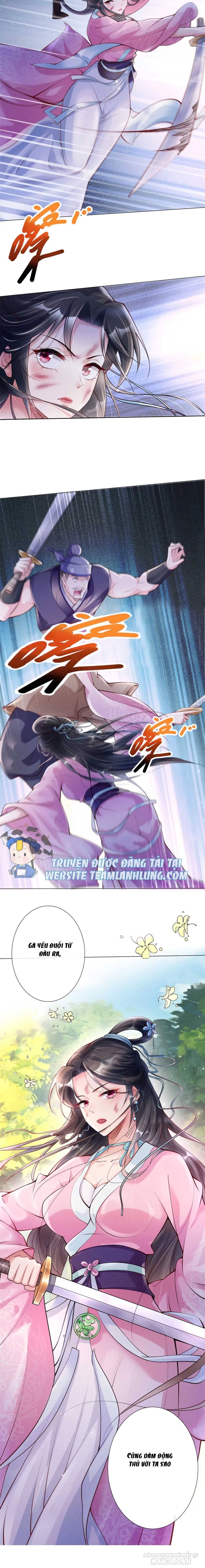 Trùng Sinh Sống Lại ! Các Hoàng Tử Ai Cũng Muốn Cưới Ta ! Chapter 3 - Trang 2