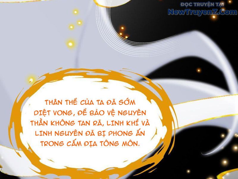 Trùng Sinh Tại Thế Giới Tu Chân, Ta Giết Tới Đỉnh Chapter 0 - Trang 2