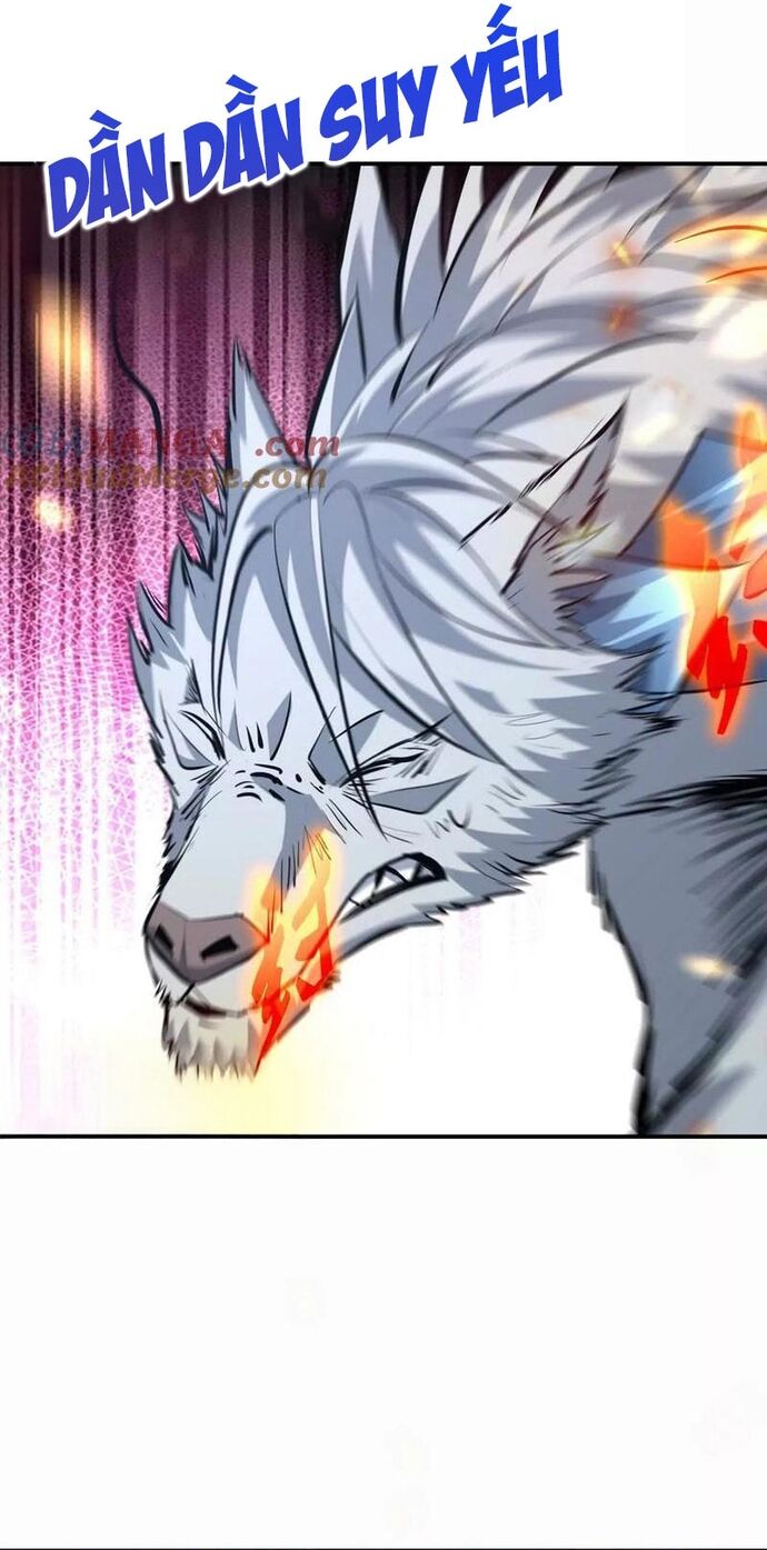 Trùng Sinh Thành Godzilla Chapter 283 - Trang 2