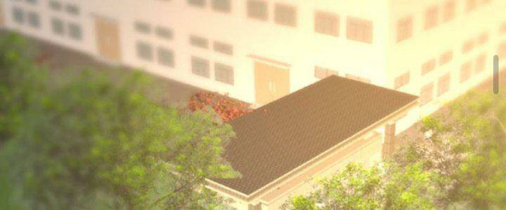 Trùng Sinh Trở Lại 1983 Làm Phú Hào Chapter 296 - Trang 2