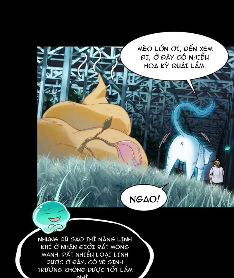 Trước Mặt Bệnh Tâm Thần, Quỷ Dị Chẳng Là Gì Cả Chapter 120 - Trang 2