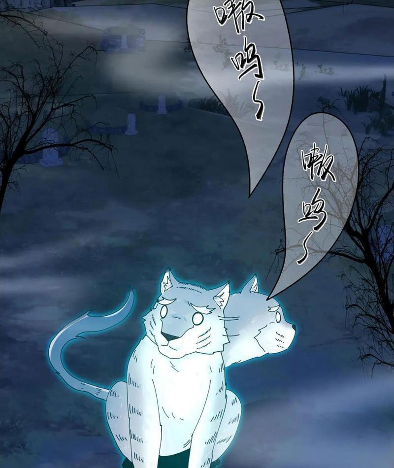 Trước Mặt Bệnh Tâm Thần, Quỷ Dị Chẳng Là Gì Cả Chapter 125 - Trang 2