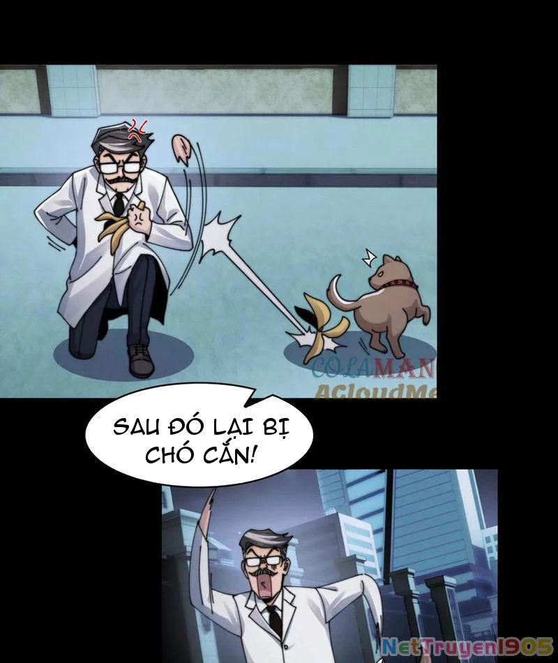 Trước Mặt Bệnh Tâm Thần, Quỷ Dị Chẳng Là Gì Cả Chapter 141 - Trang 2