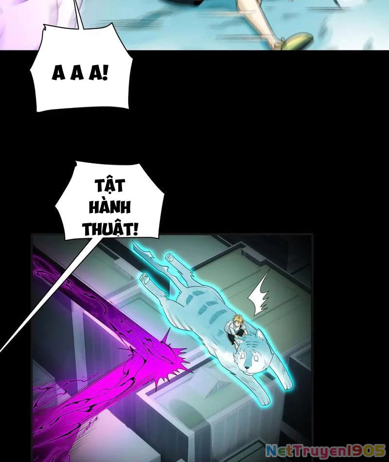 Trước Mặt Bệnh Tâm Thần, Quỷ Dị Chẳng Là Gì Cả Chapter 142 - Trang 2