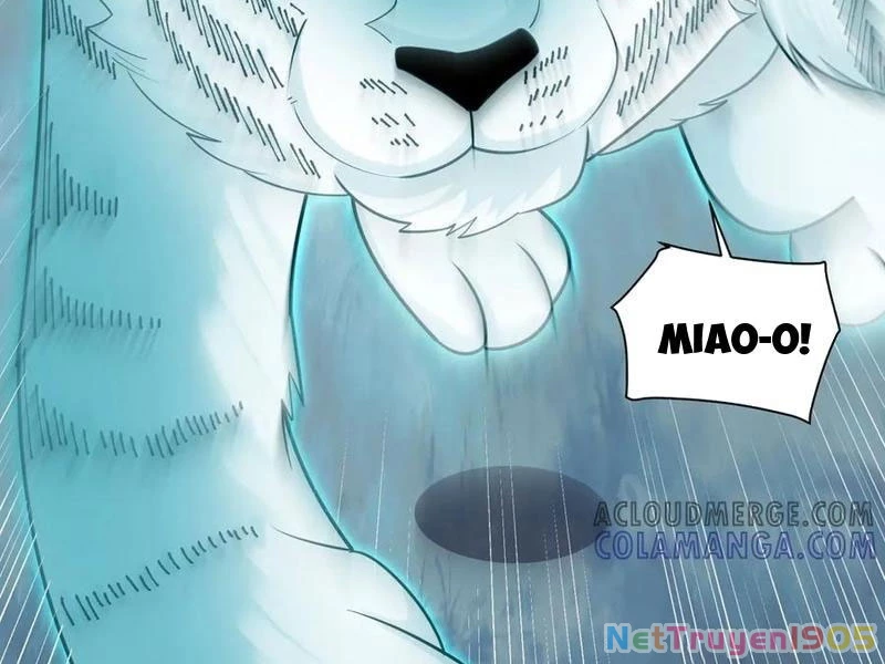 Trước Mặt Bệnh Tâm Thần, Quỷ Dị Chẳng Là Gì Cả Chapter 144 - Trang 2