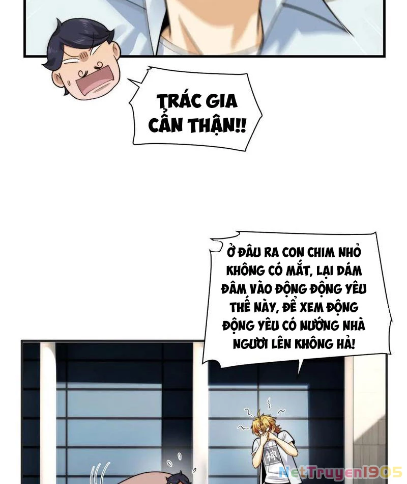 Trước Mặt Bệnh Tâm Thần, Quỷ Dị Chẳng Là Gì Cả Chapter 145 - Trang 2