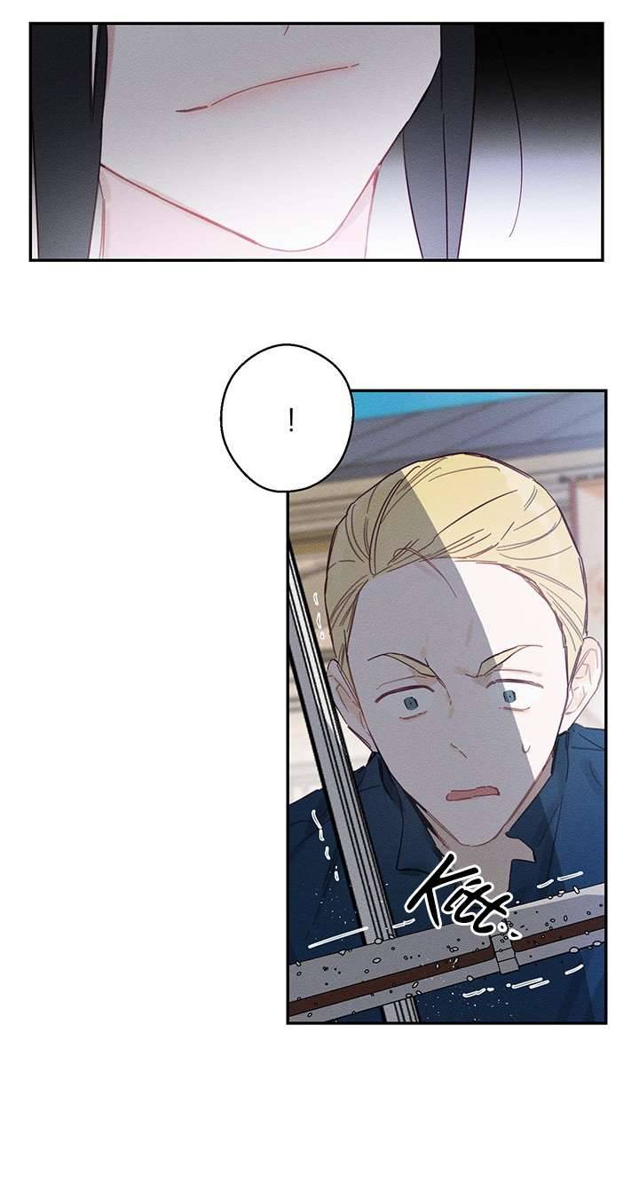 Trước Tiên Phải Giấu Em Trai Cái Đã! Chapter 16 - Trang 2