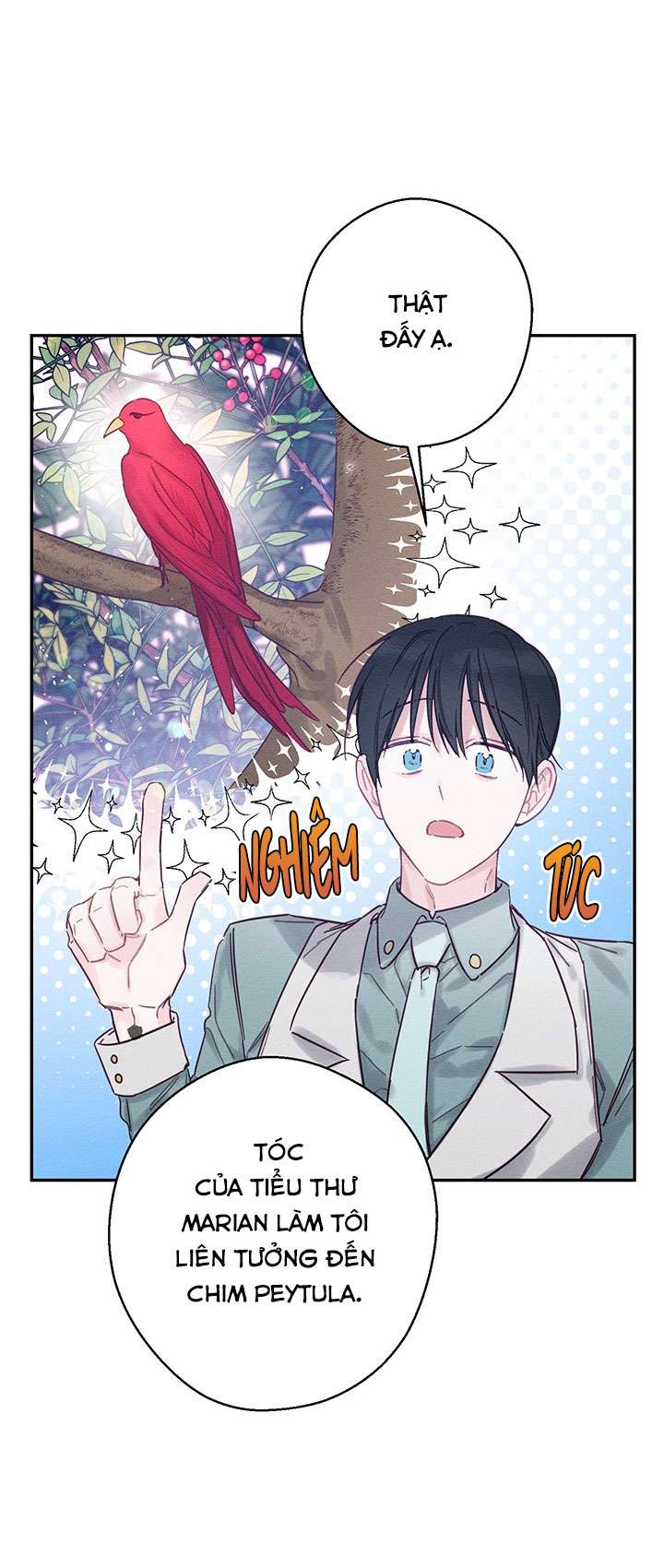 Trước Tiên Phải Giấu Em Trai Cái Đã! Chapter 28 - Trang 2