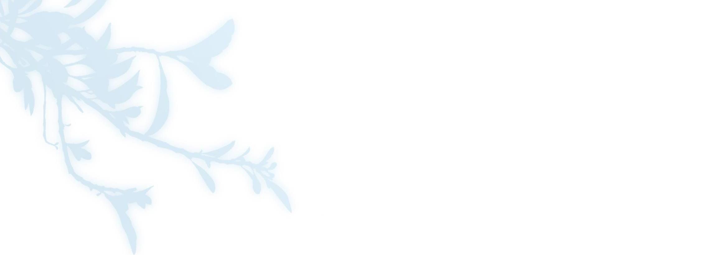 Trường Cấp Ba Sơn Hải Chapter 24 - Trang 2