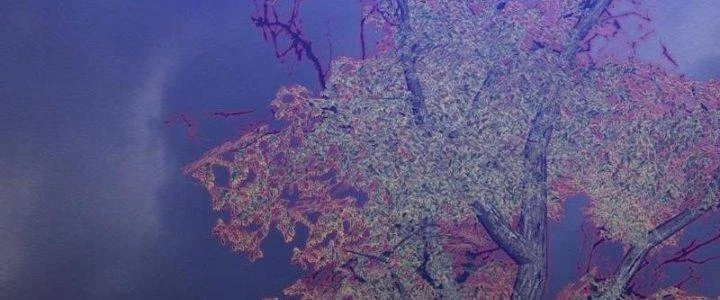 Trường Sinh Đạo Chapter 101 - Trang 2