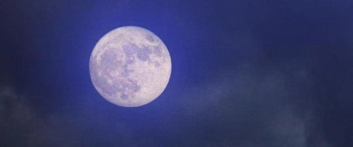 Trường Sinh Đạo Chapter 101 - Trang 2