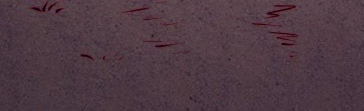 Trường Sinh Đạo Chapter 102 - Trang 2