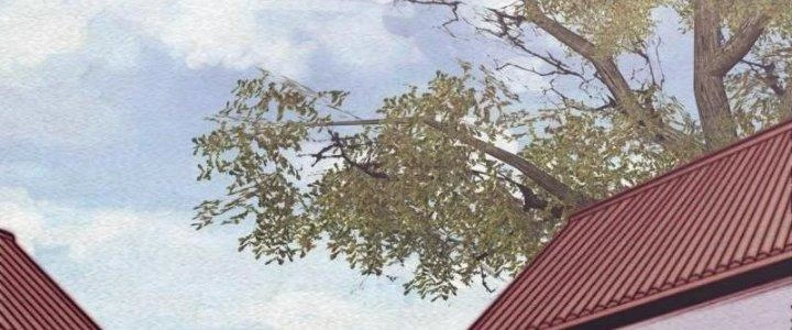 Trường Sinh Đạo Chapter 106 - Trang 2