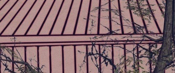 Trường Sinh Đạo Chapter 107 - Trang 2