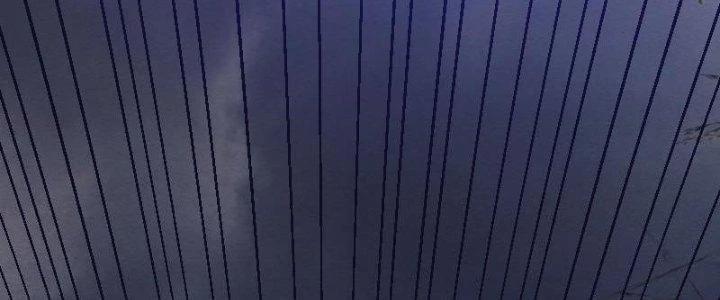 Trường Sinh Đạo Chapter 109 - Trang 2