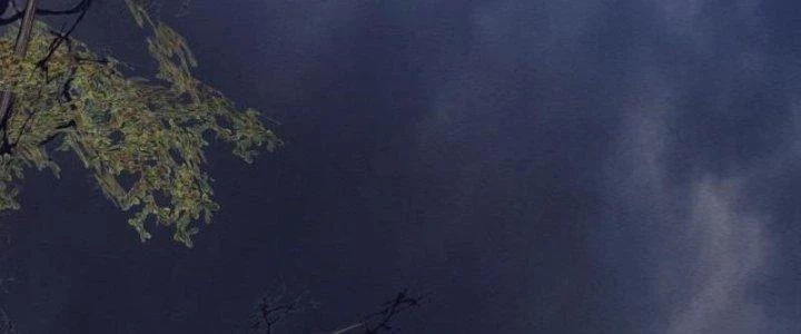 Trường Sinh Đạo Chapter 110 - Trang 2