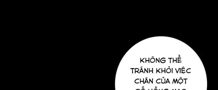 Trường Sinh Đạo Chapter 51 - Trang 2