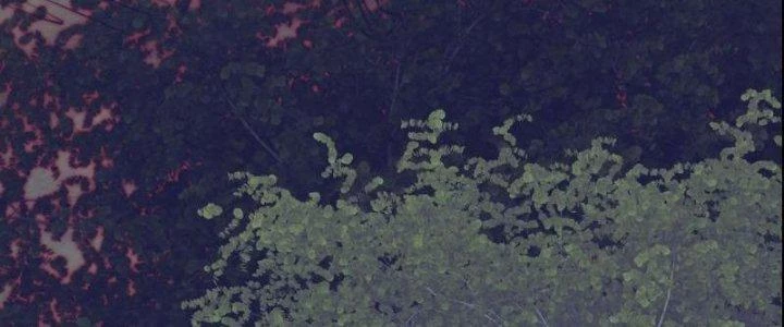 Trường Sinh Đạo Chapter 59 - Trang 2