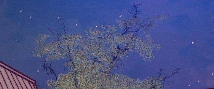 Trường Sinh Đạo Chapter 73 - Trang 2