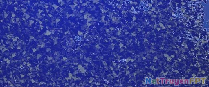 Trường Sinh Đạo Chapter 74 - Trang 2