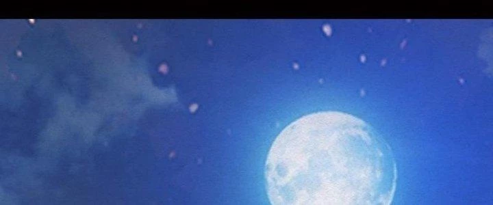 Trường Sinh Đạo Chapter 76 - Trang 2