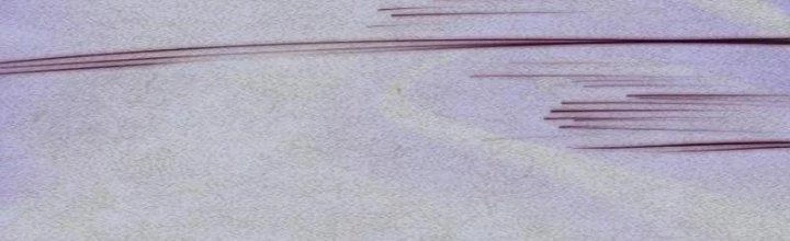 Trường Sinh Đạo Chapter 80 - Trang 2