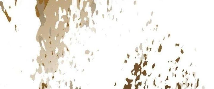 Trường Sinh Đạo Chapter 81 - Trang 2