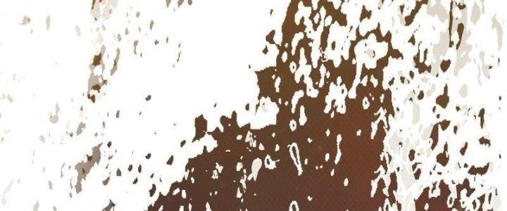 Trường Sinh Đạo Chapter 81 - Trang 2