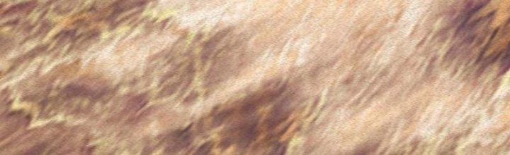 Trường Sinh Đạo Chapter 82 - Trang 2