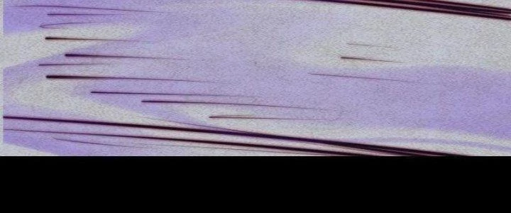 Trường Sinh Đạo Chapter 82 - Trang 2