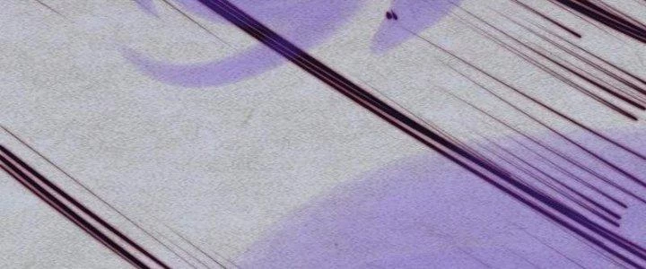 Trường Sinh Đạo Chapter 83 - Trang 2