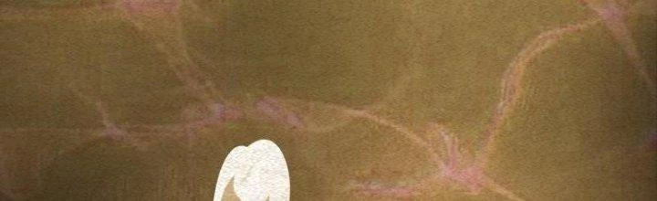 Trường Sinh Đạo Chapter 83 - Trang 2