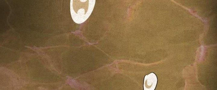 Trường Sinh Đạo Chapter 83 - Trang 2