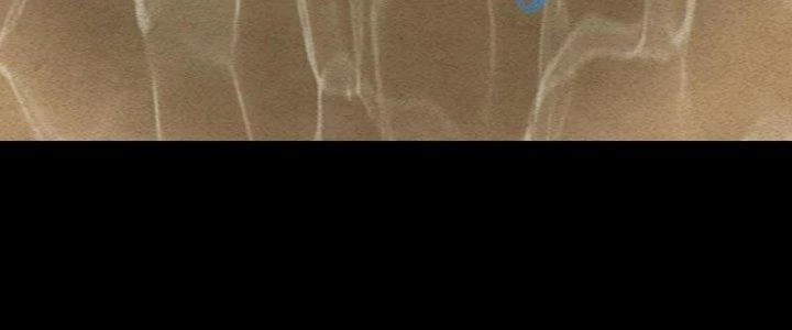 Trường Sinh Đạo Chapter 83 - Trang 2