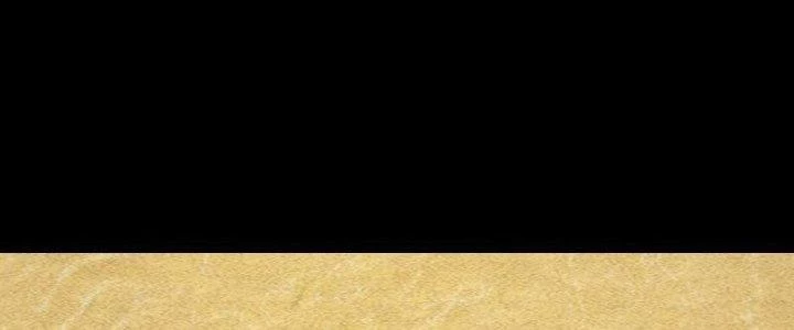 Trường Sinh Đạo Chapter 83 - Trang 2