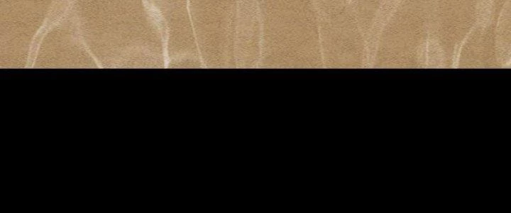 Trường Sinh Đạo Chapter 83 - Trang 2