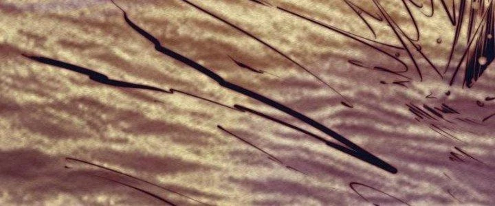 Trường Sinh Đạo Chapter 83 - Trang 2