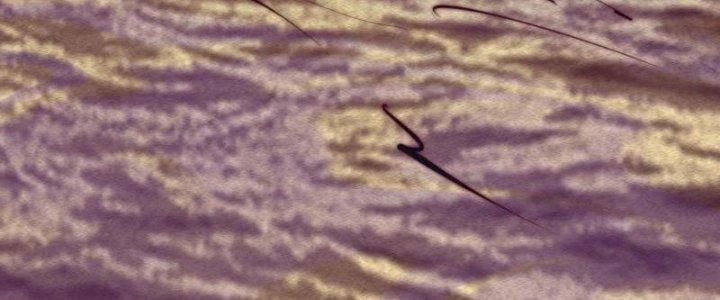 Trường Sinh Đạo Chapter 83 - Trang 2