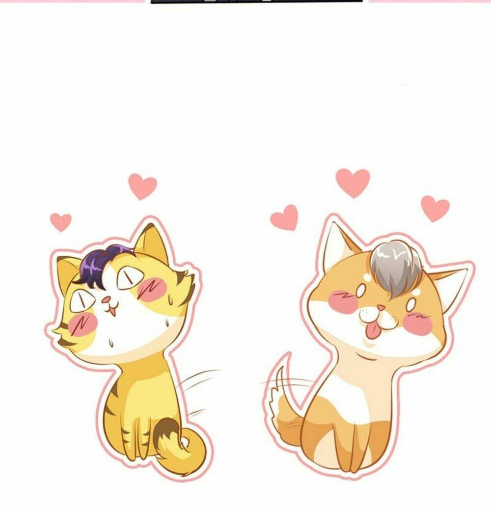 Truy Nã Toàn Cầu Truy Thê Về Sủng Chapter 21 - Trang 2